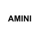 AMINI