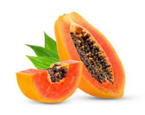 RED LADY PAPAYA Seeds (High Yield) Sweet Juicy Fruit | Fast Growing Variety