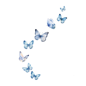 ชุดสติกเกอร์ลายผีเสื้อกลางคืนเรืองแสงพีวีซีสติ๊กเกอร์กาวติดผนังเรืองแสงสำหรับสภาพแวดล้อมห้องนอนเด็กห้องรับแขกมืด