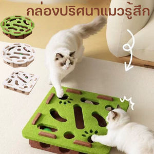 RayMeng ของเล่นปริศนาแมว กล่องปริศนาแมวรู้สึก กีฬาสันทนาการในร่ม กับลูกบอล ของเล่นออกกำลังกาย สัตว์เลี้ยงปริศนาเขาวงกต
