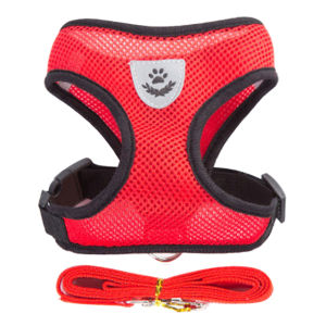 Po&Co Cat Harness Vest Walking Lead Leash For Puppy Dogs Collar Polyester Adjustable Mesh Dog Harness For Small Medium Pet Accessories