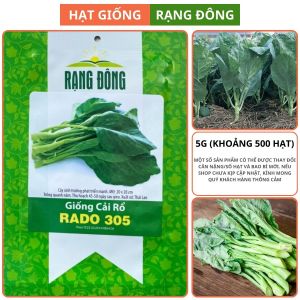 Hạt giống Cải Rổ Rado 305 Túi 5g(~500 hạt) Nảy mầm tốt Dễ chăm sóc | Hạt giống Rạng Đông