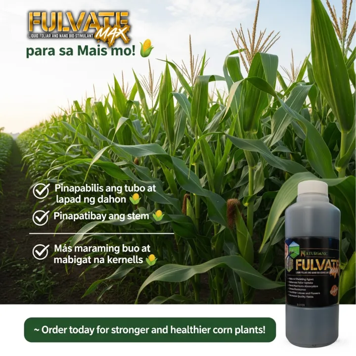 FulvateMax%20Organic%20Foliar%201%20liter%20per%201%20hectare%20Palay/Mais/Talong/Kamatis/Sili/Amplaya%20at%20iba%20pa%20-%20Image%207