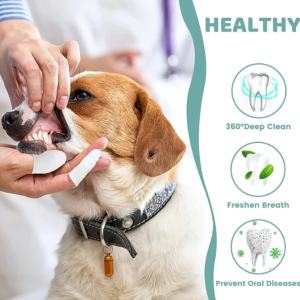 Gạc vệ sinh răng miệng cho Chó Mèo bằng vải không dệt (1 Túi gồm 2 miếng) mẫu mới - Hara Pet Store