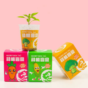 Trồng cây bằng cốc cho bé học cách chăm sóc cây mới nhất 2024
