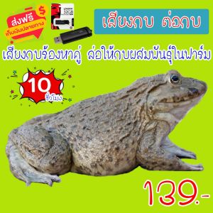 เสียงต่อ เสียงกบร้องหาคู่ ล่อให้กบผสมพันธุ์ในฟาร์ม สำหรับต่อหรือล่อให้กบผสมพันธุ์ ความยาว 10 ชม.เสียงชัด เสียงใสกังวาน ได้ผล100% 8shop