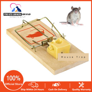2/4/10Pcs Reusable Wooden Mouse Traps Classic Mice Rat Pet Rodent Control Catch Trap