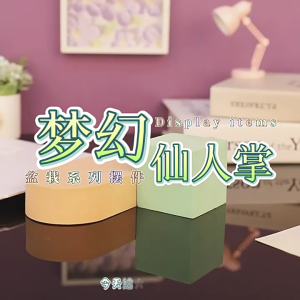 Mini Resin Cacti Figurines Miniature Potted Cacti Potted Resin Crafts Fairys Garden Accessories Home Decors