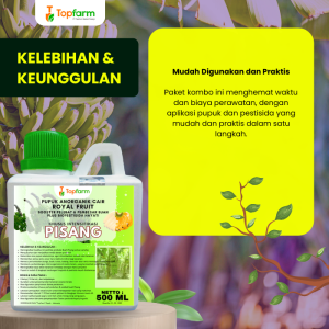 Pupuk Topfarm / Pestisida Topfarm / Pupuk Pembesar Buah Pisang /  Pupuk Khusus Pohon Pisang / Pupuk Pelebat Buah Pisang / Obat Pembasmi Hama Pohon Pisang / Obat Hama Wereng Pohon Pisang / Obat Hama Pohon Pisang