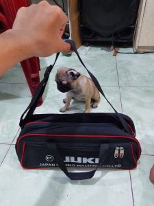 túi juki đựng dụng cụ đồ nghề 6 ngăn siêu xịn