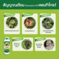 อาหารเสริม พืช-สัตว์ แพนต้าโกลด์ พรีไบโอติกส์ ตราพ่อใหญ่สัมฤทธิ์ ขนาด 500 ml จำนวน 1ขวด ธาตุอาหารเสริมพืช-สัตว์ ปลอดภัย ไม่เป็นอันตรายต่อผู้ใช้. 
