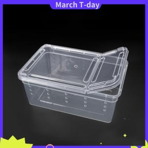 March Hộp đựng thức ăn bằng nhựa trong suốt hình nhện bò sát hộp đựng thức ăn côn trùng