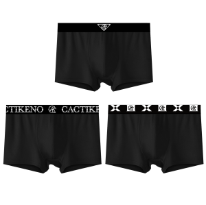 cacti keno boxer bries for men plus size boxer brief for men organic underwear for men L-5XL 3PCS