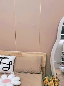 LZ-Online celebrity full body mirror high-end floor mirror female household bedroom irregular dressing mirror light luxury style fitting large mirror