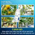 Phân Bón Lá Canxi-Bo Vi Lượng Dế Mèn – Hỗ Trợ Đậu Trái, Hạn Chế Nứt Trái, Rụng Trái Non 500ml, 5lít. 