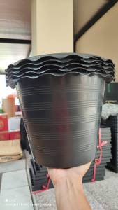 กระถางบัว 12 นิ้ว แพ็ค 5 ใบ จัดส่งสินค้าทุกวัน ส่งไว ค่าส่งถูกมาก (พิจารณาสีเหลือง)