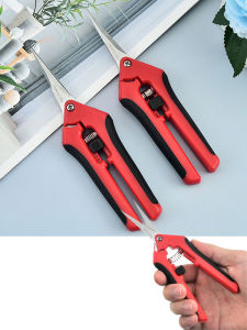 Stainless Steel Branch Pruning Fruit Gardening Fruit Tree Pruning Flower Branch Gardening Tools Floral Gardening Scissors