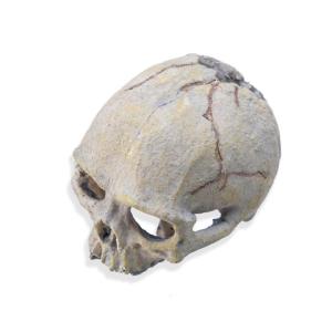 Skull Head Reptiles Hideouts Caves Resin Landscape Decoration Fishtanks Terrariums Accessories for Snake Bearded Dragon