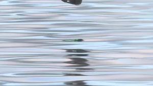 ลำโพงไร้สาย S51 Pro 40Wลำโพงซับวูฟเฟอร์แบบพกพากลางแจ้งIPX 6กันน้ำการจับคู่คู่แบตเตอรี่5200MAh