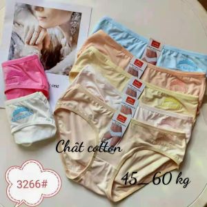 [HÀNG LOẠI 1] SÉT 05 quần lót nữ cotton chính hãng mềm mịn co giãn 4 chiều chất cực mát size 45-60kg (3266)