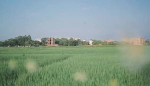 Sony CCD HD Digital Camera: A Comprehensive Guide