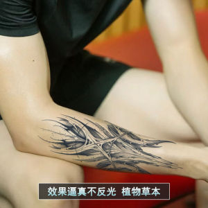 11.11 Demon imprint arm new herbal tattoo sticker waterproof and long-lasting mechanical pattern arm back of hand juice semi-eternal10.17