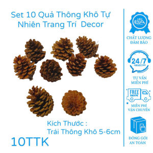 Bộ Trang Trí Lát Gỗ Thông Nến Màu – Phong Cách Rustic Handmade Lễ Hội