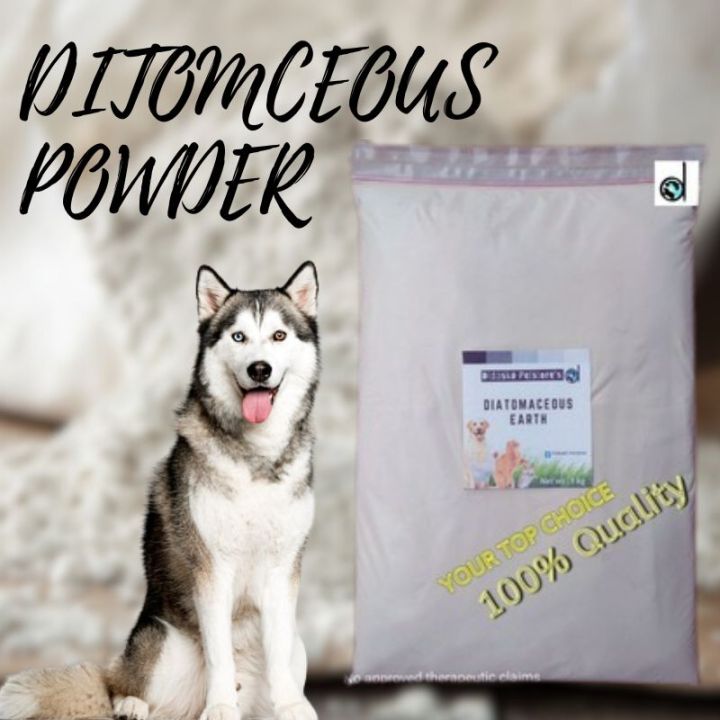 Diatomaceous Earth DE Powder for Cats Dogs Hamsters Chickens and more. Lazada PH