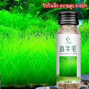 ดินปลูกไม้น้ำ Water Plant Soil น้ำไม่ขุ่น ดินไม่แตก ปลอดภัยต่อสัตว์น้ำ ดินใส่ตู้ปลา ดินปลูกต้นไม้น้ำ ดินคุณภาพดี แต่งตู้ปลา ตู้ไม้น้ำ