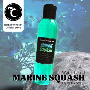 Concentrated Air Freshener Scent for Humidifiers Cosmicwitchph100 ml WaterBased Essential oil