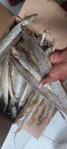 Ikan Asin Layur murah1 Kg Best seller
