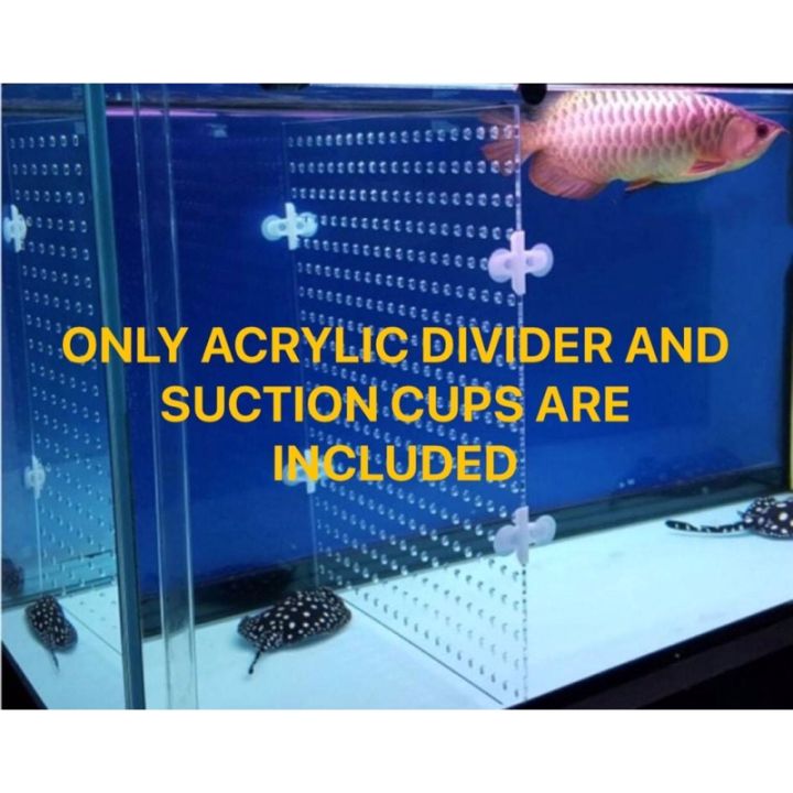 AQUARIUM ACRYLIC DIVIDER WITH HOLES CRYSTAL CLEAR (including 4pcs