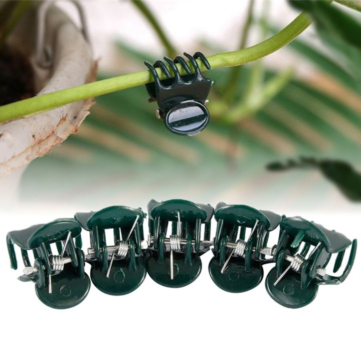 LIANG 100 PCS Plastic Branch Clamping Grafting Vine Support Orchid ...