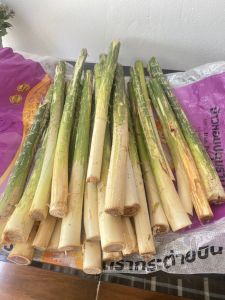 หน่อหวาย สดๆ 100 % แท้ๆจาก สวนภูพาน ตัดสดส่งตรงทุกวัน 12 หน่อใหญ่ (แบบยังไม่ปอก )