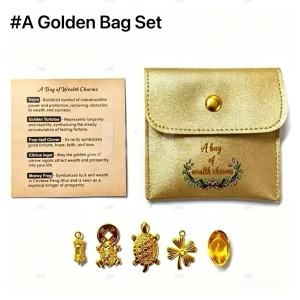 A Bag of Wealth Charms Feng Shui Lucky Amulet Set Golden Tortoise Money Frog for Abundance & Success
