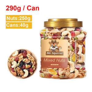 Mr.Squirrel Mixed Nuts And Dried Fruits 500g  Healthy Snacks  Mixed Nuts Ready To Eat  Bulk Dry Fruit Snack  Nuts Mixed Wholesale