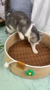 Cat bed suitable for all seasons made of rattan popular online cat sleeping mat suitable for kittens and dogs woven for summer provides a sense of security pet bed