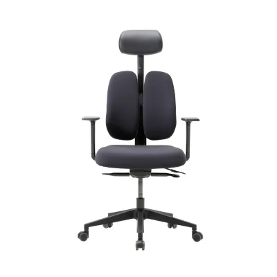 Ergoworks x Duorest Gold Renewal Ergonomic Chair with 3D Back Support German Design and Technology D2500G