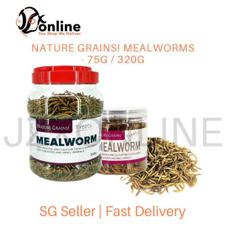 NATURE GRAINS Freezed Dried Mealworms 75g / 320g [Bird / Fish / Pets Food] Lazada Singapore