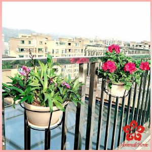 ที่แขวนกระถางต้นไม้แบบเหล็ก กระถางแขวนผนัง flower stand