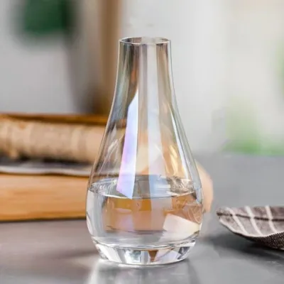 FUNG Water Droplet Shape Transparent Glass Vase Minimalist Slanted Mouth Flower Vase Table Home Decor European Style Hydroponic Flower Vase Living Room
