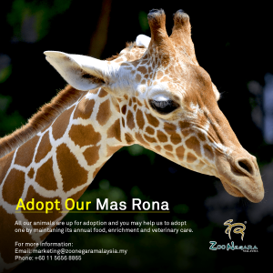 Zoo Negara - Adopt our Mas Rona