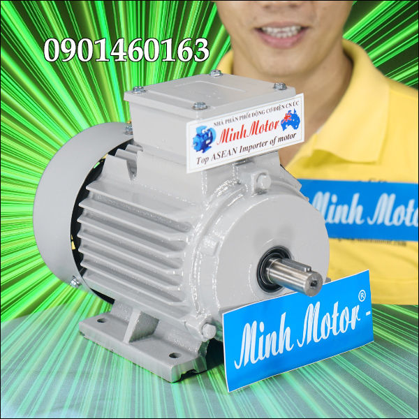 %C4%90%E1%BB%99ng%20C%C6%A1%20%C4%90i%E1%BB%87n%203%20Pha%201HP%200.75Kw%202%20C%E1%BB%B1c%20%C4%90i%E1%BB%87n%20-%20Image%201