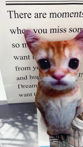 Comforting Cats Pillow Soft Velvets Plump Filling Stuffed Cats Plushes Toys for Cats Enthusiasts of Ages