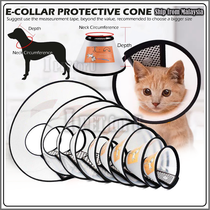 E-Collar Protective Cone Collar for Pet Dogs Cats Wound Healing Protection  Cover Kolar Kon Perlindungan Kucing Pemulihan Lazada