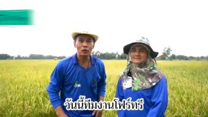 🔥 4TREE โฟร์ทรี โฟที โฟรทีร 4tre ของแท้ บริษัท ซองละ 600 บาท สารเพิ่มประสิทธิภาพ สูตรอิออน เพิ่มผลผลิต คู่หูนาปีโฟรทีร์ โฟรทีรนาข้าว โฟที โฟทีรนาข้าวโฟทีร ของแท้ นาปีนาปรัง โฟร์ทรี ของแท้ 4Tree โฟร์ทรีของแท้ อะมิโน โฟร์ทรีนาข้าว โฟทรีของแท้ ส่งฟรี