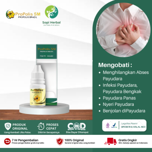 Obat Abses Payudara Payudara Bengkak Payudara Panas Nyeri Payudara Benjolan diPayudara Bisul Payudara Payudara Tegang Obat Radang Kelenjar Payudara - Propolis SM