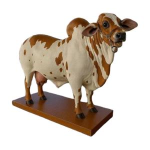 Chai pha chế nước giải khát hiện đại Thiết kế chống rò rỉ vật liệu nhựa Bình rót rượu cho khách giải trí