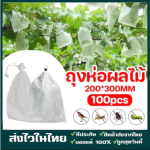 50 ใบถุงห่อผลไม้ ถุงห่อมะม่วง ใช้ห่อกันแมลง เพลี้ย แสงแดดไม่ต้องห่อกระดาษทับ ใช้ซ้ำได้ ไม่มีไอน้ำเกาะในถุง ถุงห่อฝรั่ง