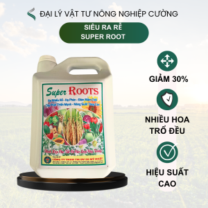 Super Roots Siêu Ra Rễ Gốc Mai Tạo Nụ